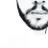 borpece's profile image