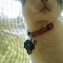 S.J. Ojeda - @steve_ojeda - Twitter