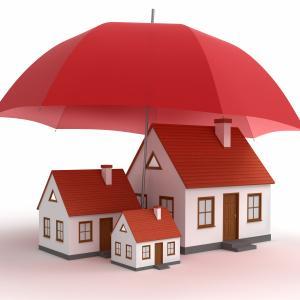 rent_specialist's profile picture. 