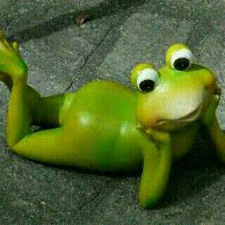 Rudiamelia's profile picture. 