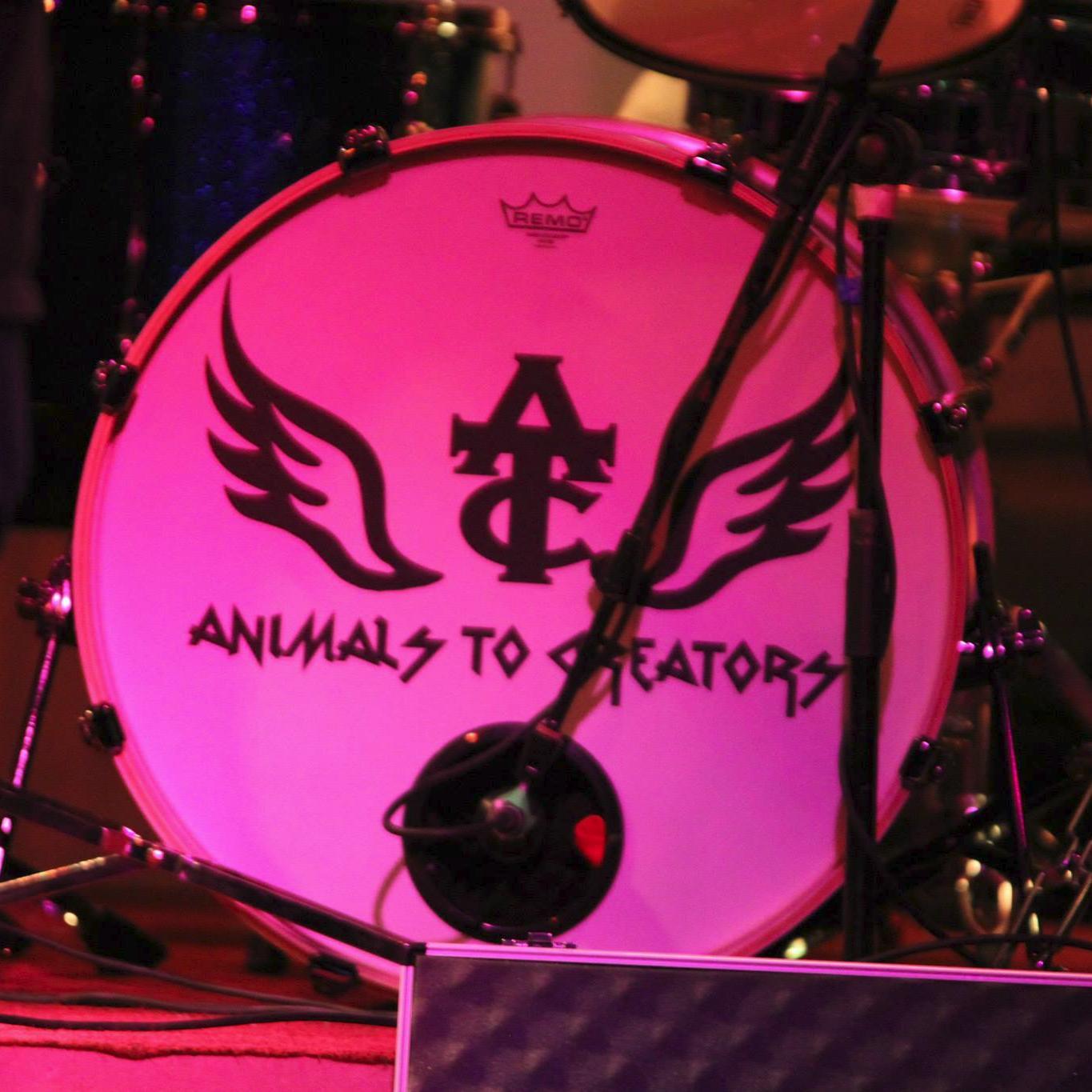AnimalsCreators's profile picture. Hard rock band from Erskine. Playing gigs as often as possible. Our first release was our EP For Those Of Us on 16/12/2014