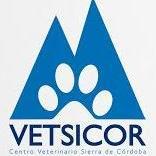 VETSICOR (@vetsicor) 's Twitter Profile