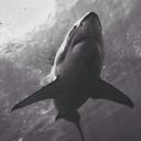 Emily Roach - @BoringTeenager0 - Twitter