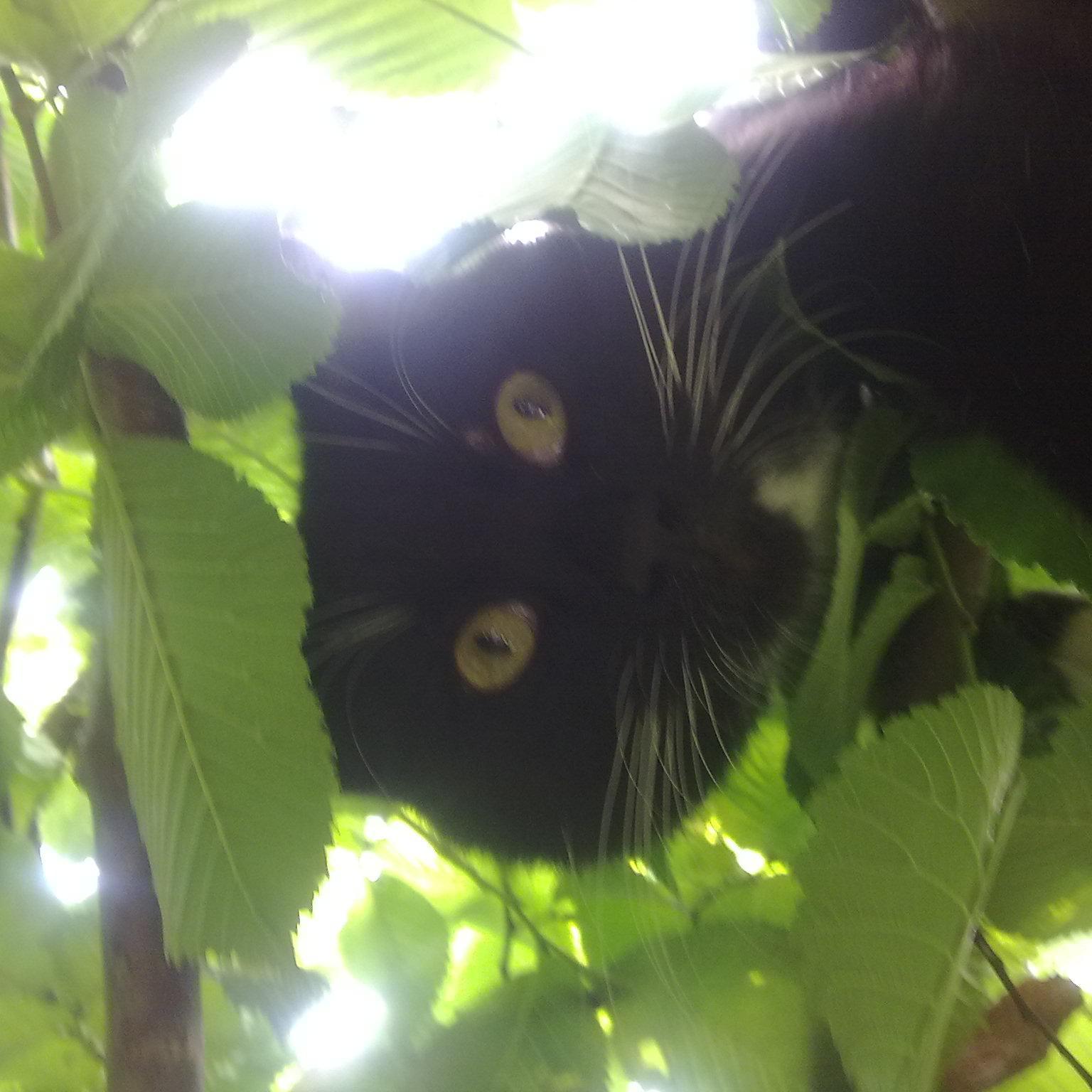 ar_vydas's profile picture. 