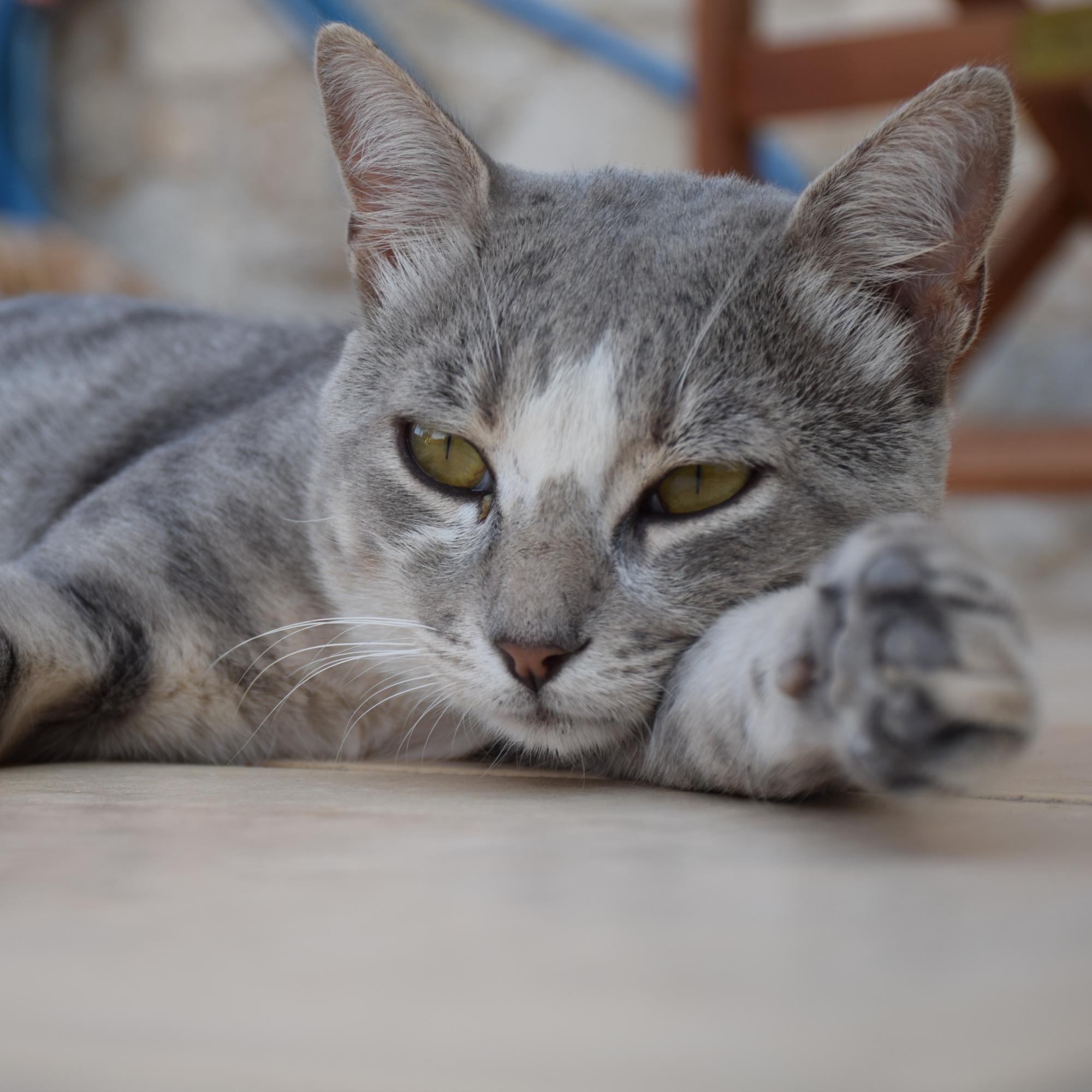 loukloukas's profile picture. Sometimes you win, sometimes you learn.