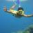 bulz_freedom's profile image
