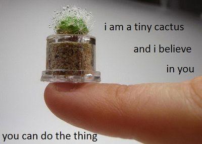 I'm a tiny cactus and I believe in you. You can do anything