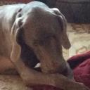 Gregg Barr - @barrcoder - Twitter