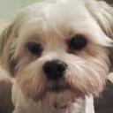 Nicola Sharp - @nicolasharp30 - Twitter