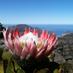 Table Mountain CPT (@tablemountainza) Twitter profile photo
