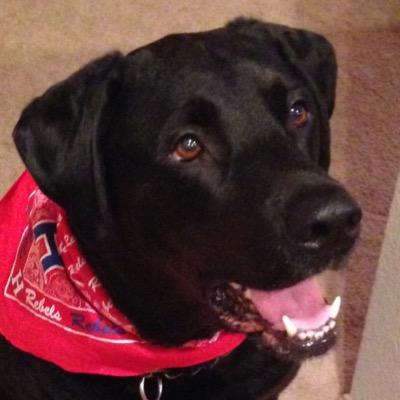 World's biggest fan of Rebel football and basketball despite not being allowed in games