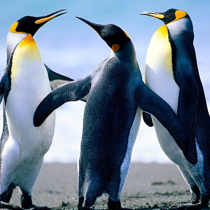 YmkMarketing's profile picture. 