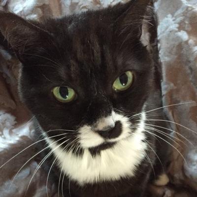 Sallyannalexa's profile picture. 