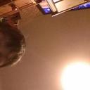 Josh Gammon - @3543c549d03f4da - Twitter