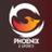 Phoenix e-sports
