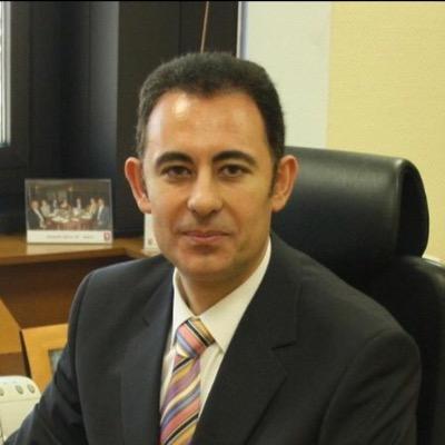 Profesional con más de veinte años de esperiencia en el sector de automoción. Con experiencia en las areas de marketing, finanzas, postventa y comercial.