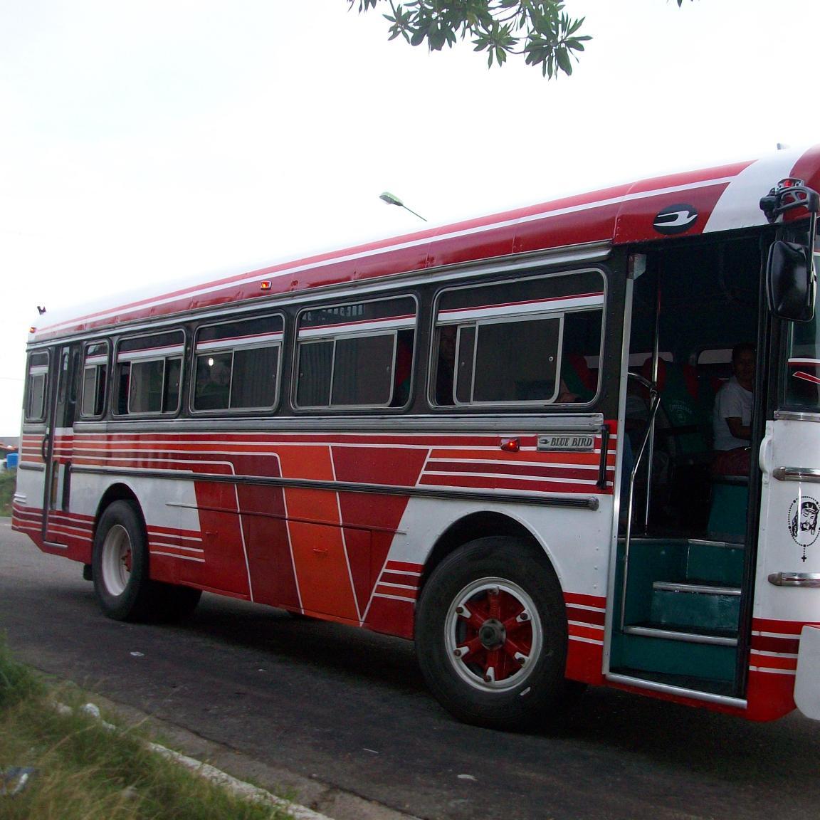 01manuel15's profile picture. T.S.U en Contaduría, La mentira No es la Salida, mi meta: Expresos ContinentE y sus mejores buses:el 01 y el 15 !