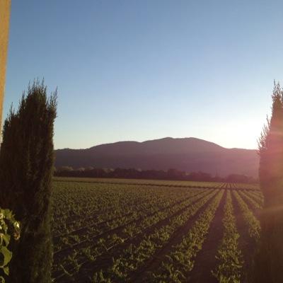 Mollbec's profile picture. 