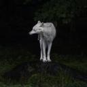 Ruth Stoker - @thebaorel - Twitter