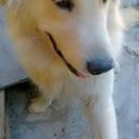 Nely Torres - @NelyTorres11 - Twitter