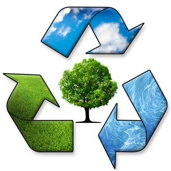 Praying for and fighting for a healthy planet, common sense and good government.