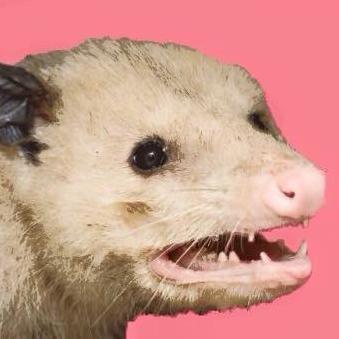 zacher52's profile picture. 