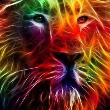 Official Twitter https://t.co/4Gi9fq37Yg: Promoting and welcoming the LGBTQ community & visitors of St Augustine, FL.  Instagram:gaystaugustinecom_follow