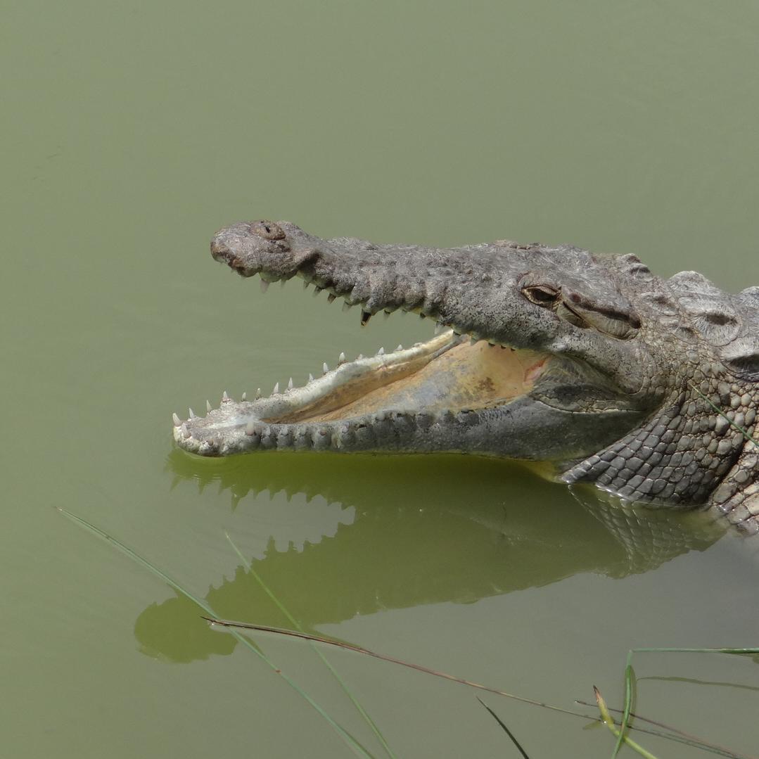 pertkarlsson's profile picture. Все о обо всем.