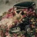 Michell Hernandez  - @HernadezMichell - Twitter