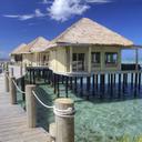 Patricia Lynn Kent - @PattyLK1963 - Twitter