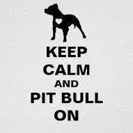 Helping those in the Harrisburg Pa. area who rescue, foster or are looking to adopt pitbulls, the worlds most misunderstood breed of dogs.  Pits are love-a-bull