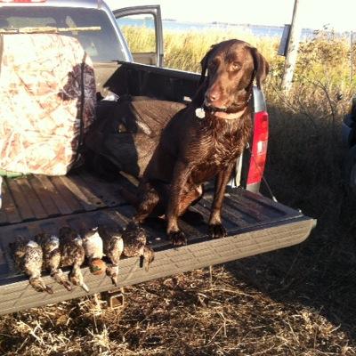 gustin_shannon's profile picture. 