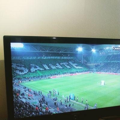 #teampsg #team974