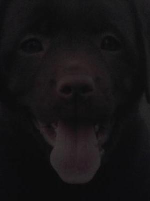 hannahbryn123's profile picture. 