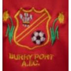 Burry Port (@burryp) 's Twitter Profile