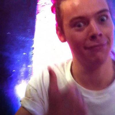 harry styles or what
