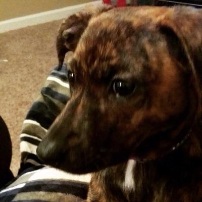 L_Grandpa's profile picture. I am disabled with a heart condition. I'm a Christian who likes gaming and music. Married with  3 kids and 4 grand kids! Life is good!