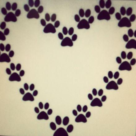 I'm Erin LaBrie. Matching you with your furrEver friend.