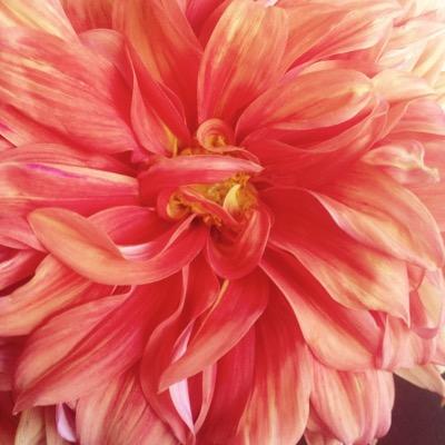 Sacrazento's profile picture. I’m interested in nothing much.