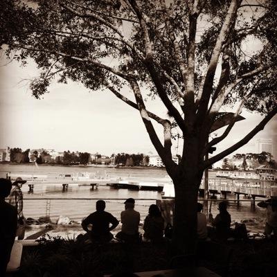 sidharth1985's profile picture. 