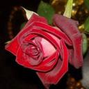hesham hasnato (@1975Hmh) Twitter