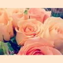 EG - @eliza_bean598 - Twitter