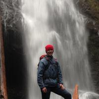 Stuart Reed (@theboywonderstu) 's Twitter Profile