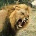 Gary Stevens - @Gary2Steve - Twitter