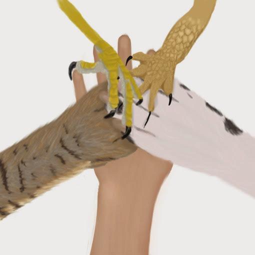 anipalpets's profile picture. 