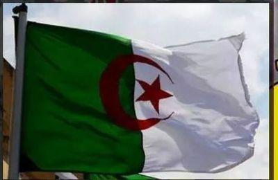 Imene_92i's profile picture. insta: imzne •| #AlgerienneFrancaise #TeamDz #A&M