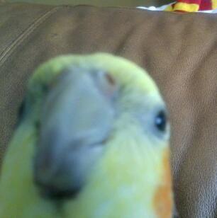 M_C_S_N's profile picture. Talent. All opinions are mine own...and probably wrong #Miami #Hurricane #Chicago