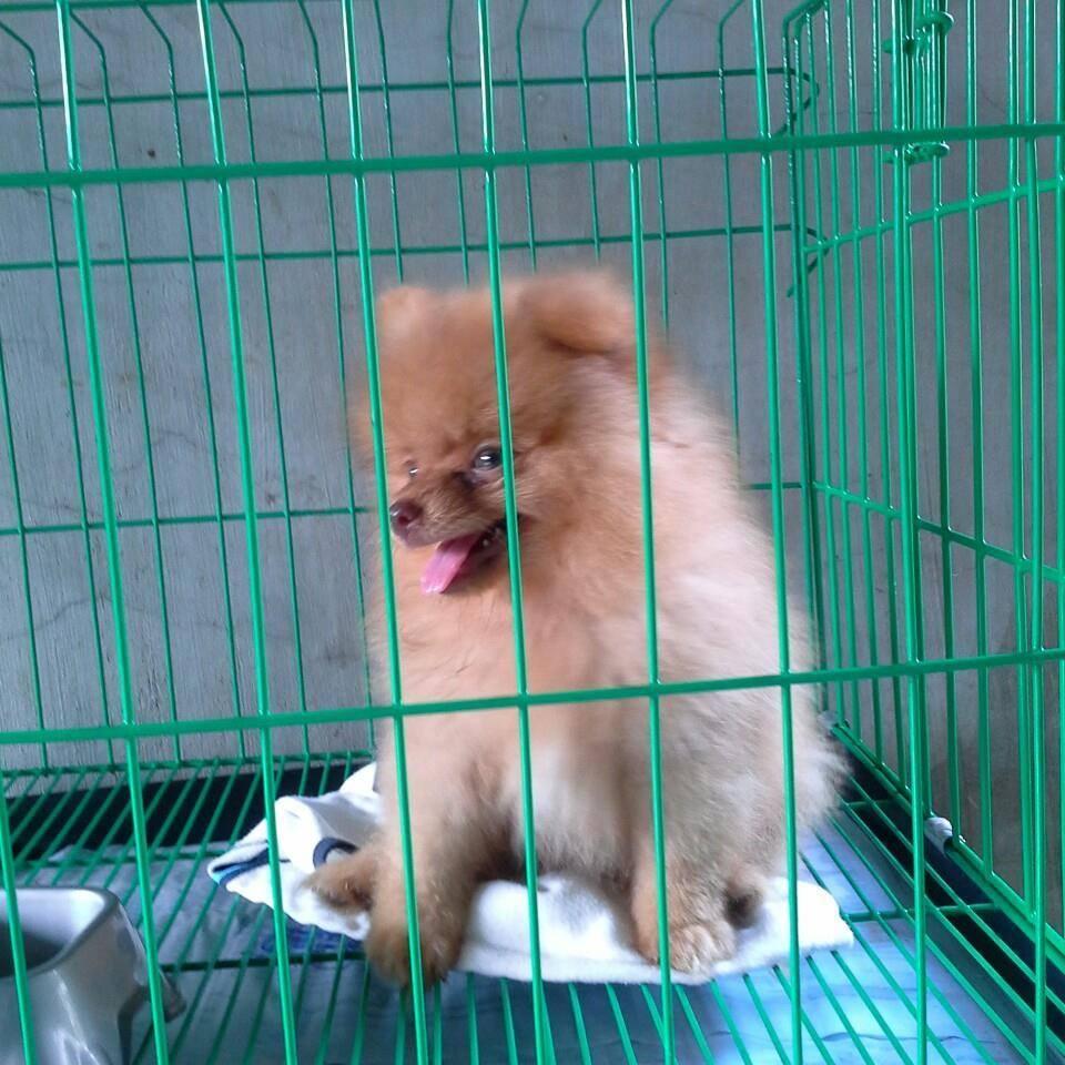 samcastillo0521's profile picture. 