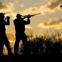 when in doubt, hunt it out