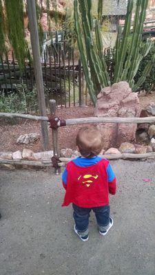 kayschro89's profile picture. 